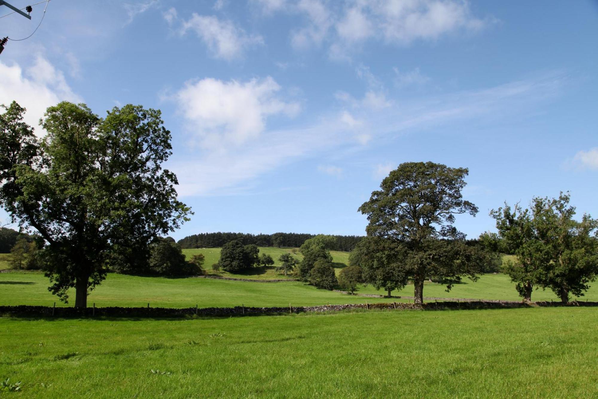 Green Grove Country House Malham Ngoại thất bức ảnh